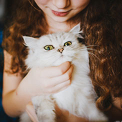 Services 22 service 06 petshop