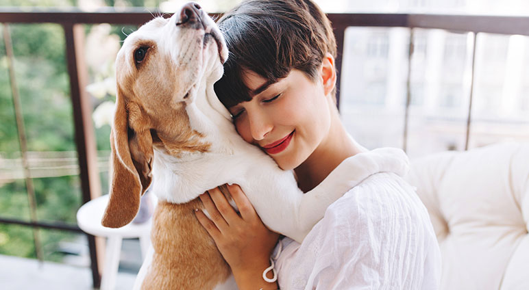 service single 03 petshop