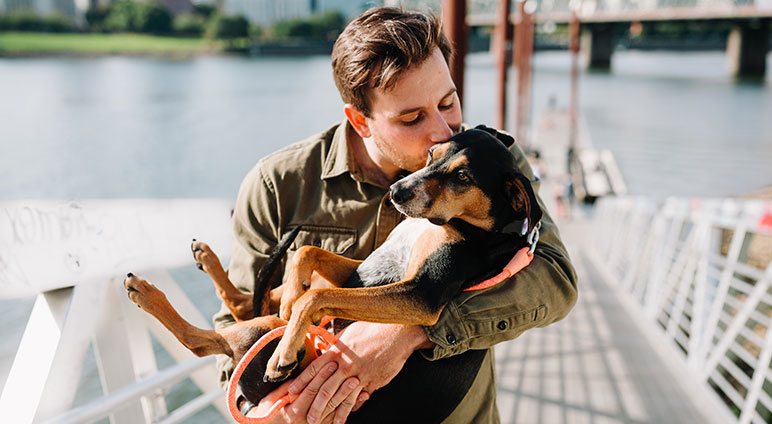 service single 05 petshop