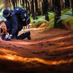 Uso de Cães como Rastreadores